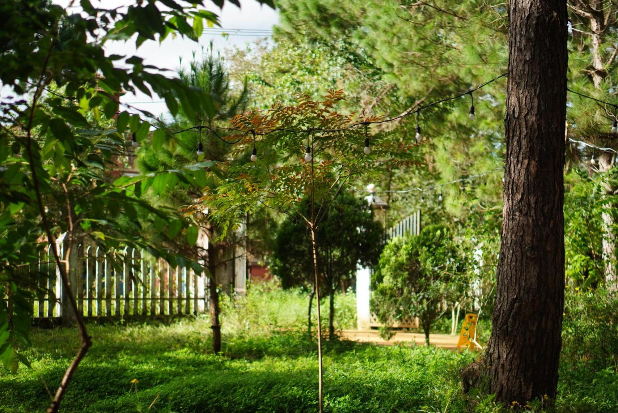 Sum Villa Homestay Mang Den Kon Von Kla Екстериор снимка