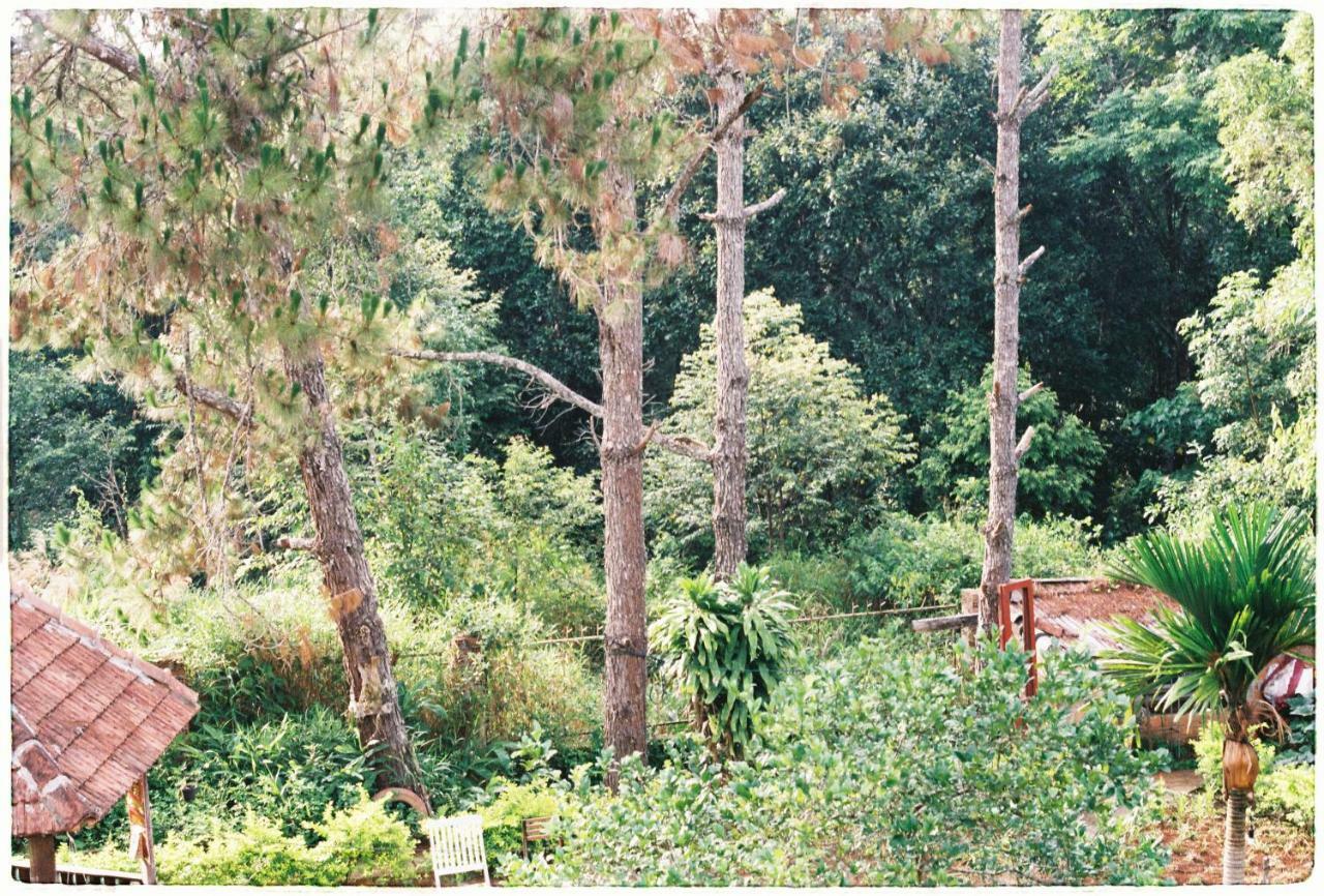 Sum Villa Homestay Mang Den Kon Von Kla Екстериор снимка